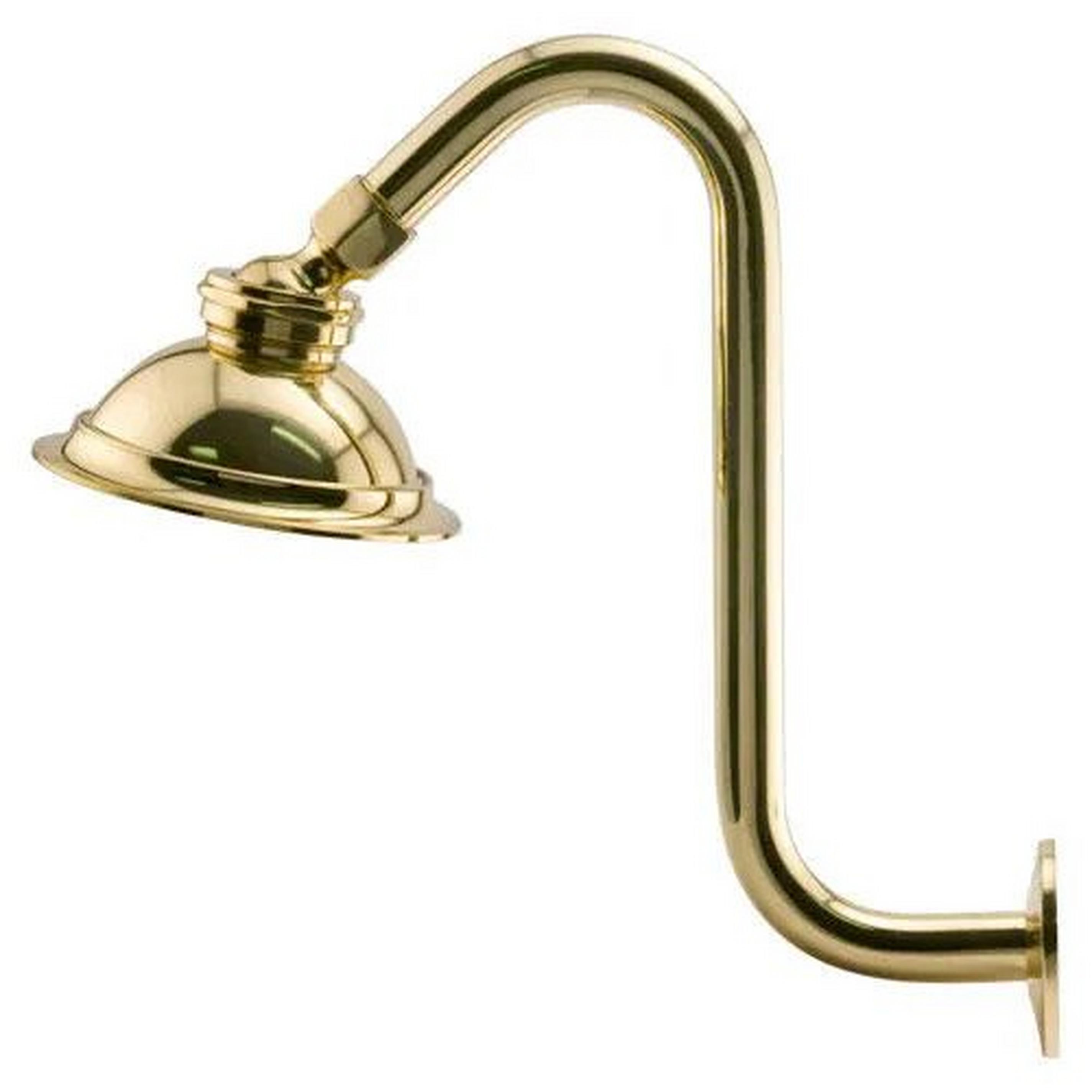 Windom Watering Can Shower Head with Offset Arm Signature Hardware