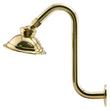Windom Watering Can Shower Head with Offset Arm, , large image number 1