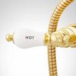 Tub Wall-Mount Telephone Faucet with Hand Shower - Porcelain Lever Handle - Polished Brass, , large image number 5