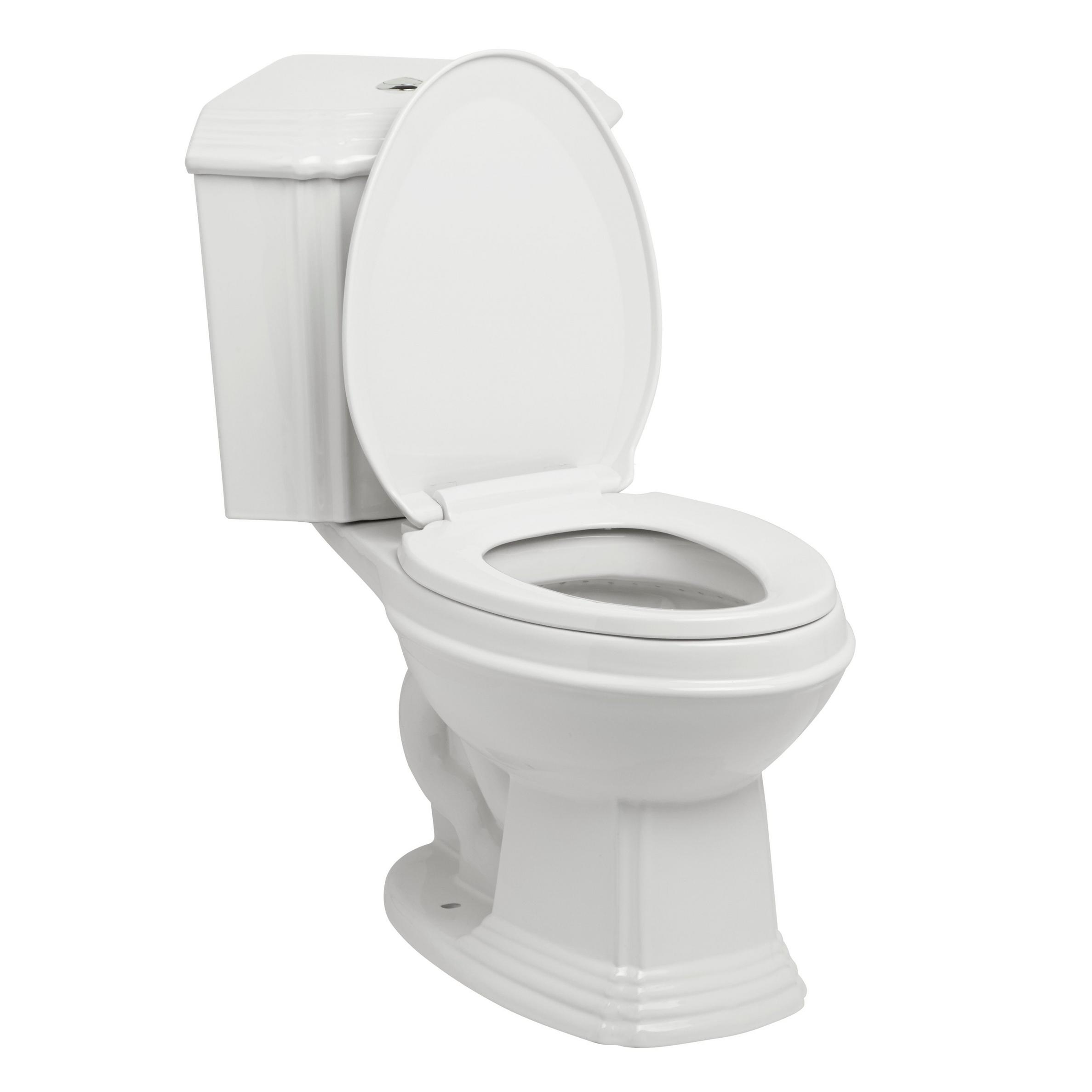 Regent DualFlush Corner Toilet with Elongated Bowl White Signature