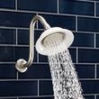 Sunflower Shower Head with Offset Arm, , large image number 0