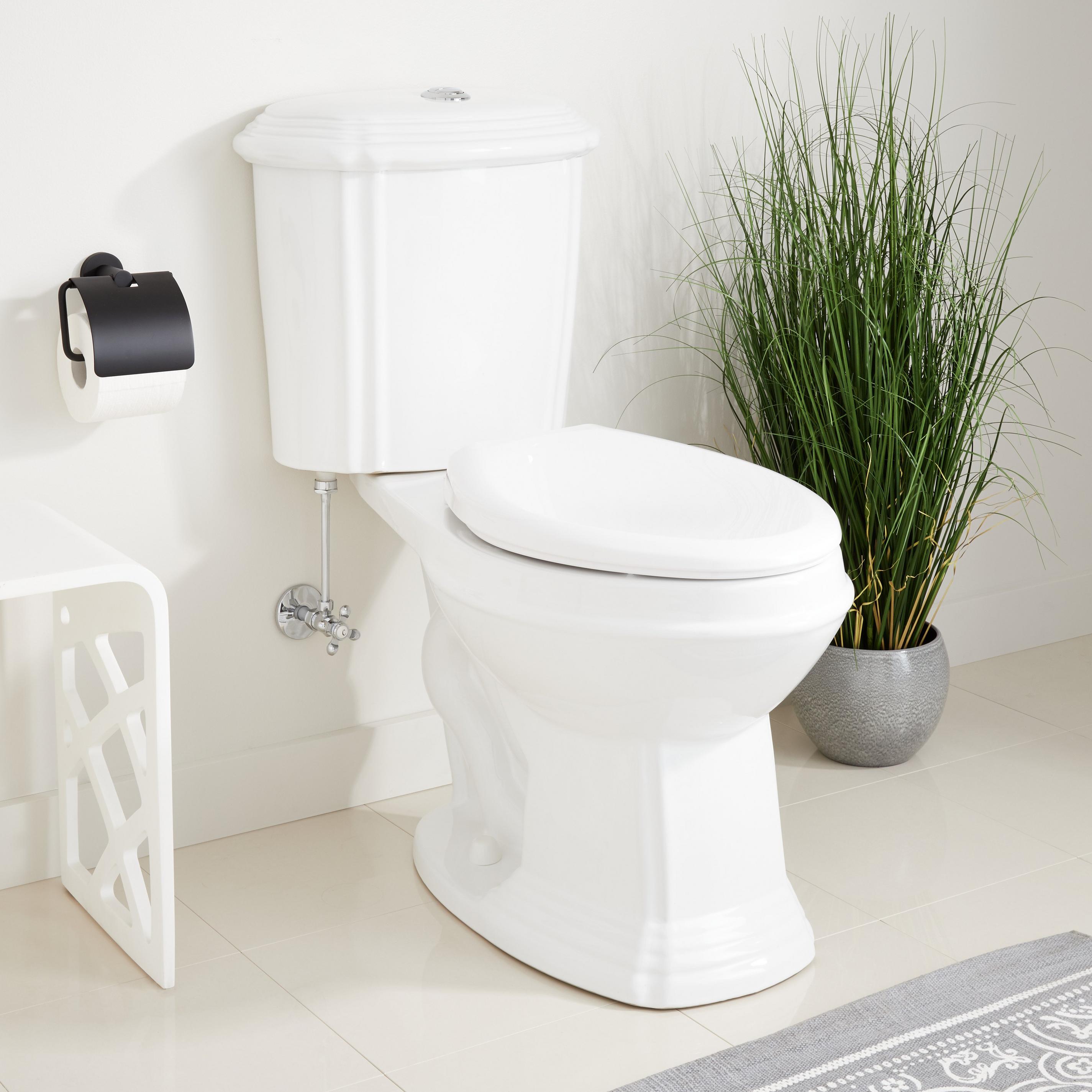 Regent DualFlush Toilet with Elongated Bowl White Signature Hardware