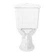 Regent Dual-Flush Toilet with Elongated Bowl - White, , large image number 4