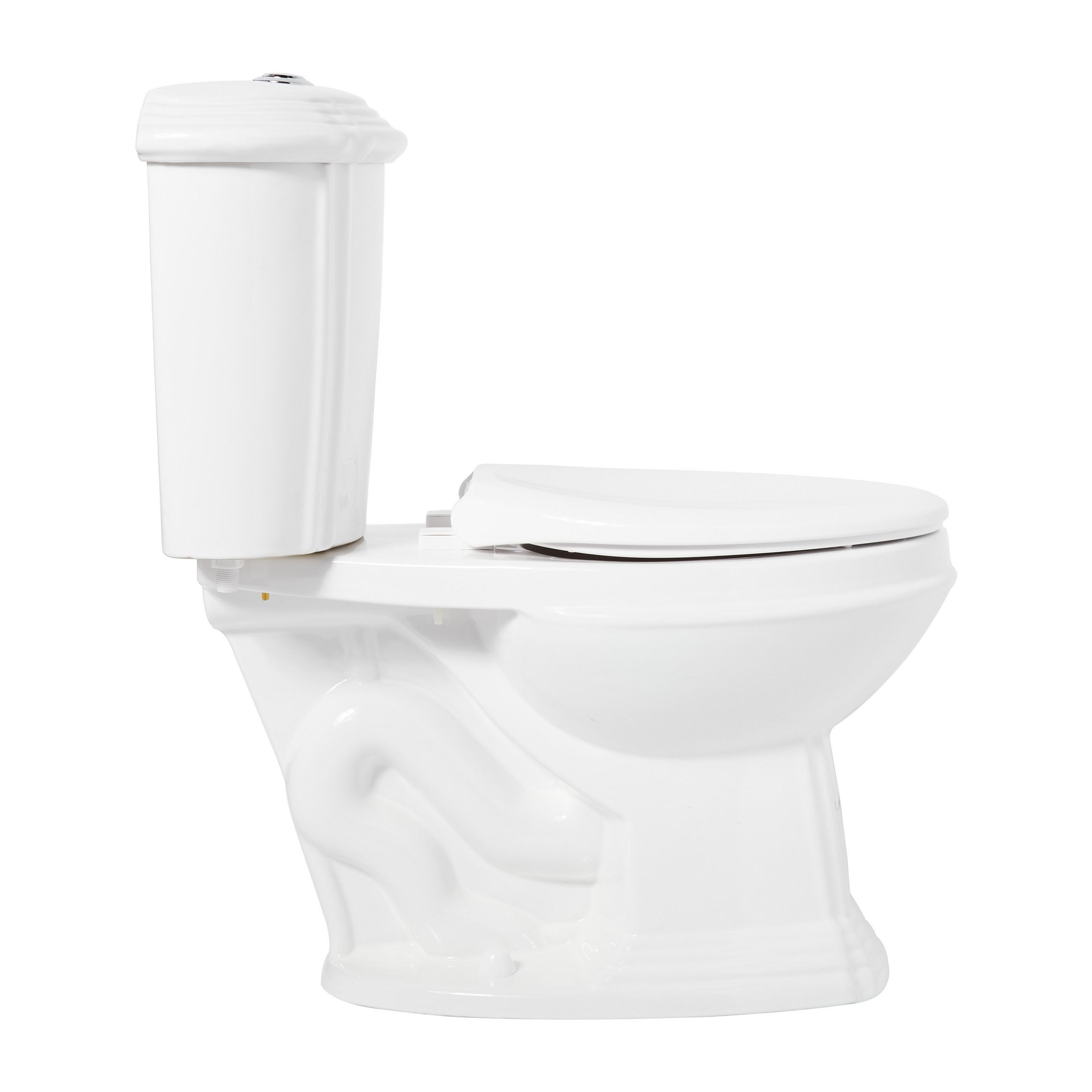 Regent DualFlush Toilet with Elongated Bowl White Signature Hardware