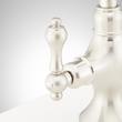 Isabel Single-Hole Gooseneck Bar Faucet - Brushed Nickel, , large image number 2