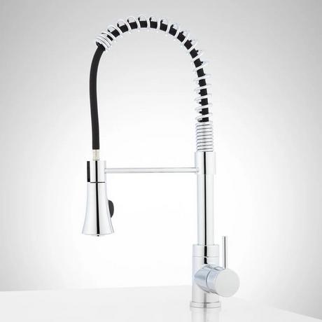 Steyn Kitchen Faucet with Spring Spout