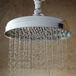 Lambert Rainfall Nozzle Shower Head With Ornate Arm, , large image number 1