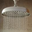 Lambert Rainfall Nozzle Shower Head With Victorian Arm, , large image number 2