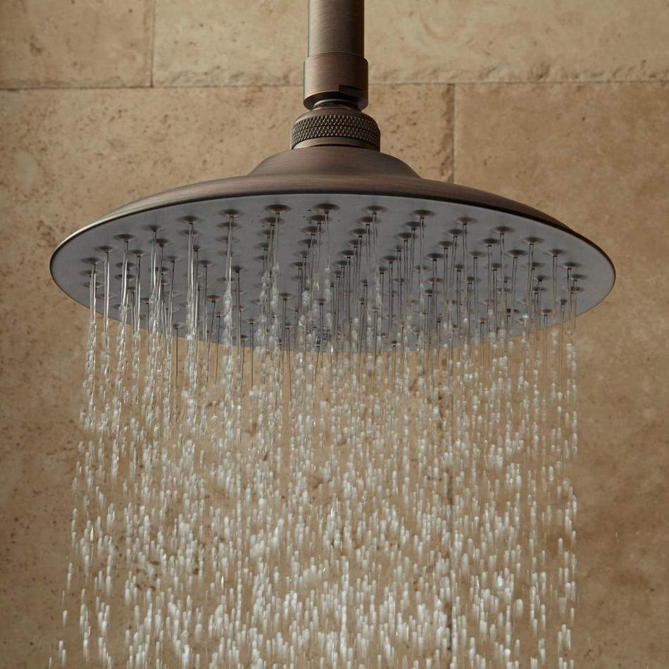Bostonian Rainfall Shower Head With Extended Arm, , large image number 1