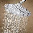 Bostonian Rainfall Shower Head with Standard Arm, , large image number 0