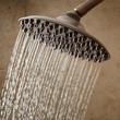 10" Bostonian Rainfall Nozzle Shower Head - 8" Standard Arm - Oil Rubbed Bronze, , large image number 0