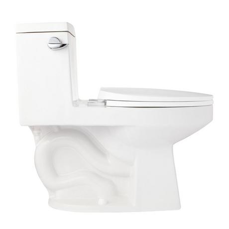 Burnside Siphonic Elongated One-Piece Toilet