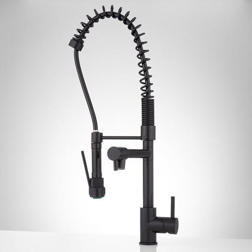 Levi Kitchen Faucet with Pull-Down Spring Spout in Matte Black