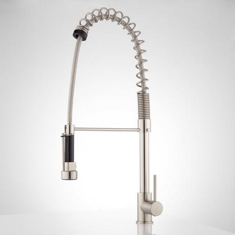 Asaro Kitchen Faucet with Pull-Down Spring Spout