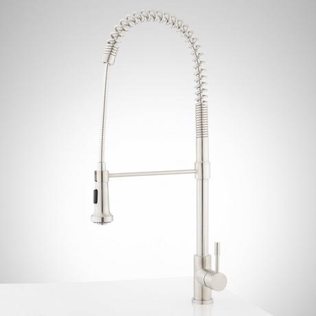 Adams Single-Hole Kitchen Faucet with Pull-Down Spring Spout