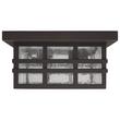 Ambler 2-Light Flush Mount Outdoor Ceiling Fixture - Clear Seeded, , large image number 2