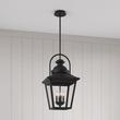 Cedar Manor 4-Light Outdoor Pendant Lantern - Iron Ash, , large image number 0