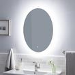 Fahlman Oval Lighted Mirror with Tunable LED, , large image number 0
