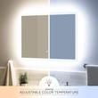 Araica Lighted Mirror with Tunable LED, , large image number 1