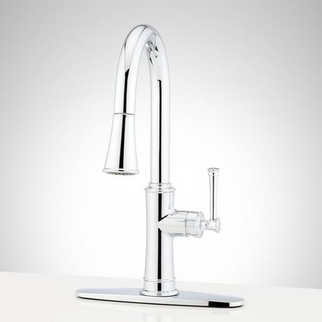 Beasley Single-Hole Pull-Down Kitchen Faucet with Deck Plate