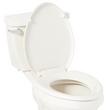 Traditional Slow-Closing Toilet Seat - Elongated Bowl - Biscuit, , large image number 1