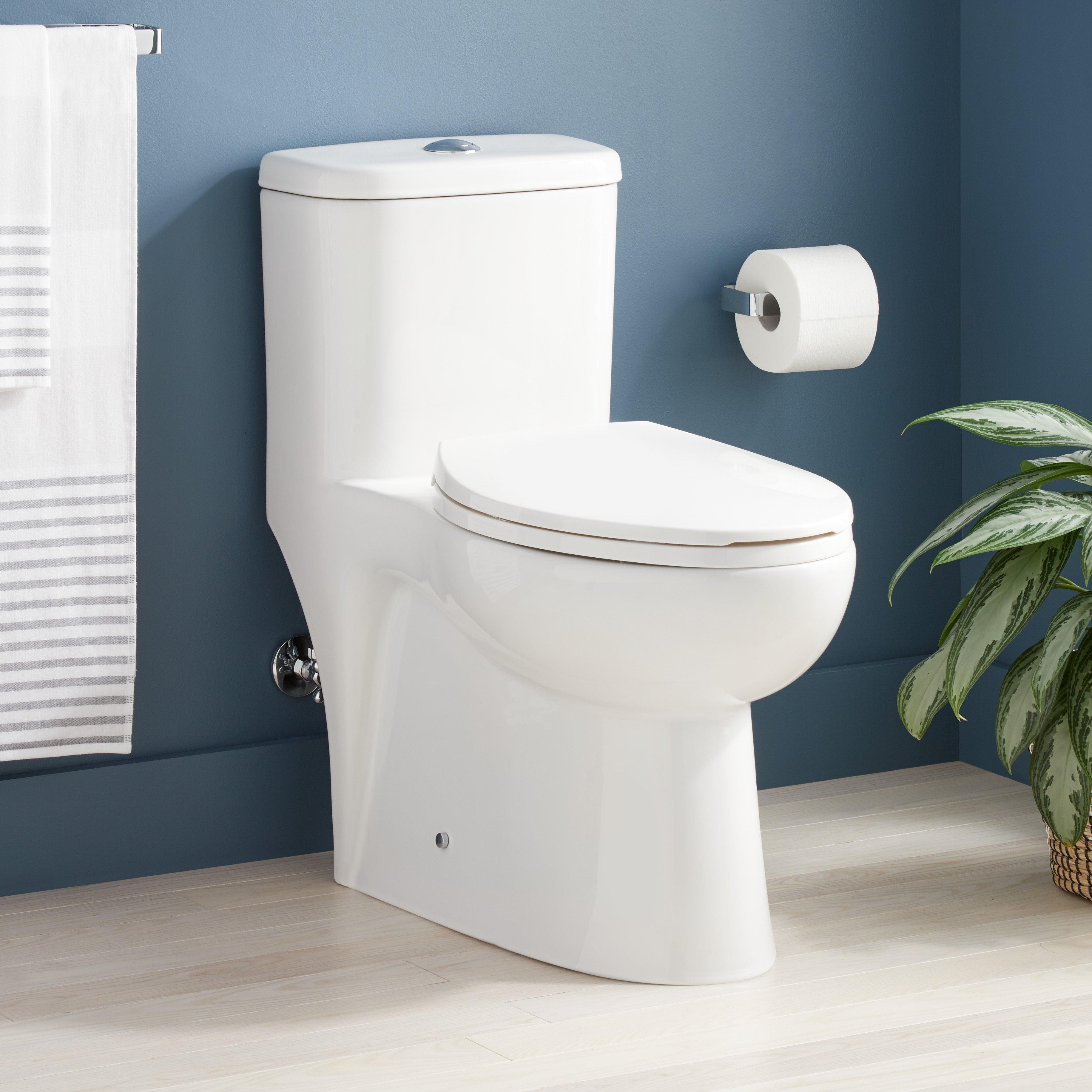 Alledonia One-Piece Elongated Skirted Toilet - White | Signature Hardware