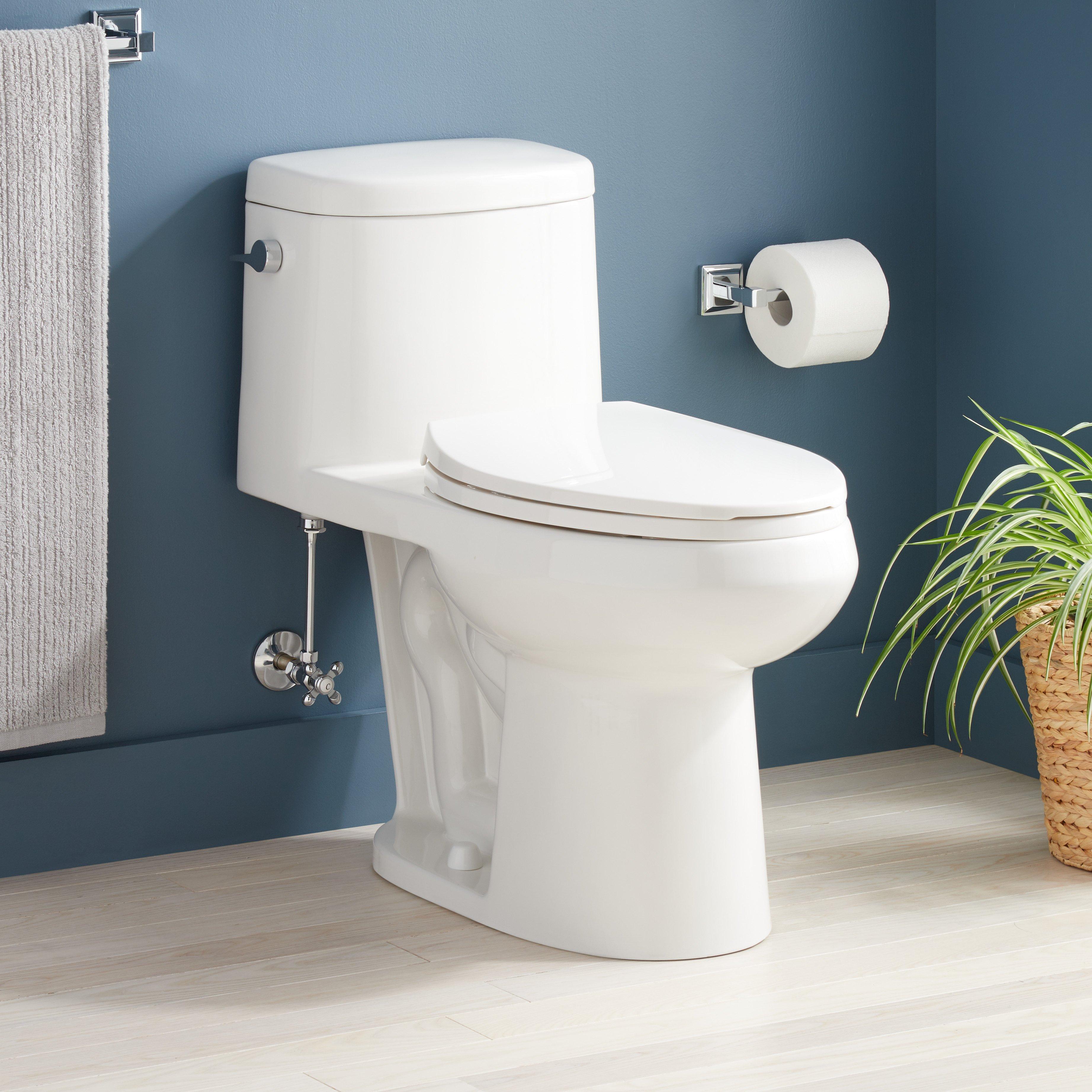 Sarasota One-Piece Elongated Toilet - White | Signature Hardware