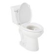Bradenton Two-Piece Elongated Toilet with 10" Rough-In - 16" Bowl Height, , large image number 2