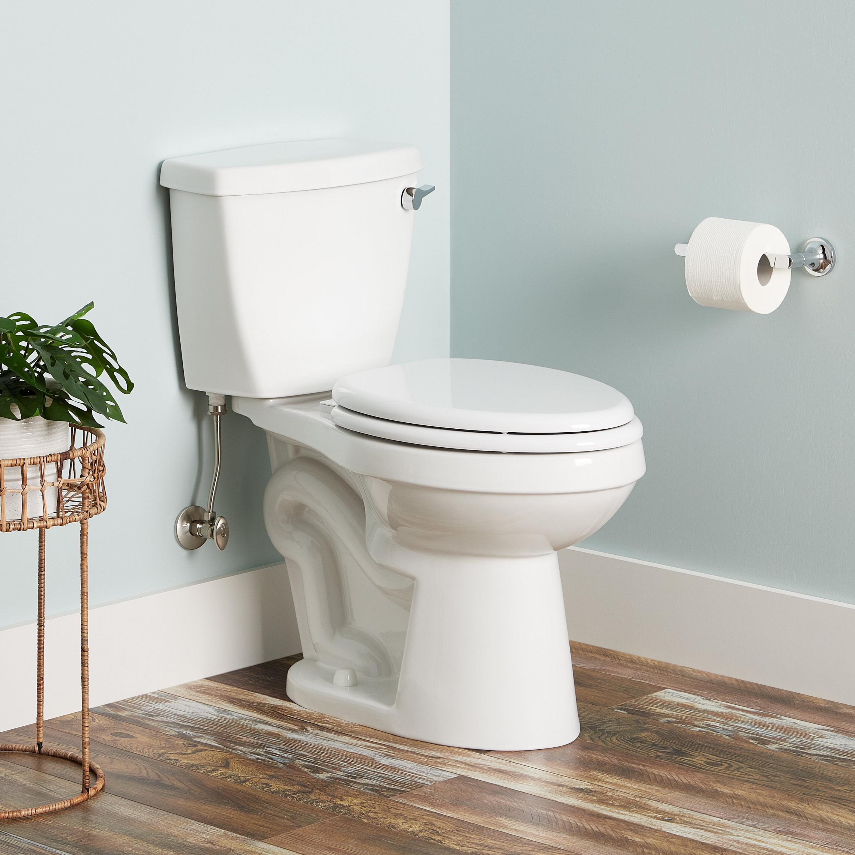 Bradenton Two-Piece Elongated Toilet with 12