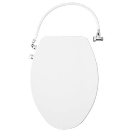 Carraway Two-Piece Skirted Elongated Toilet - ADA Compliant - White
