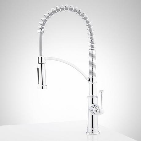 Beasley Kitchen Faucet with Pull-Down Spring Spout
