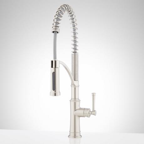 Beasley Kitchen Faucet with Pull-Down Spring Spout