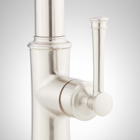 Beasley Kitchen Faucet with Pull-Down Spring Spout