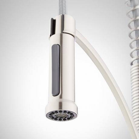 Beasley Kitchen Faucet with Pull-Down Spring Spout