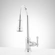 Amberley Single-Hole Pull-Down Spray Kitchen Faucet -Chrome, , large image number 0