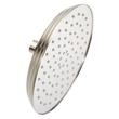 8" Traditional Round Rainfall Shower Head - 1.8 GPM - Brushed Nickel, , large image number 0