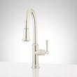 Beasley Single-Hole Pull-Down Kitchen Faucet, , large image number 0