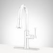 Beasley Single-Hole Pull-Down Kitchen Faucet with Deck Plate, , large image number 2