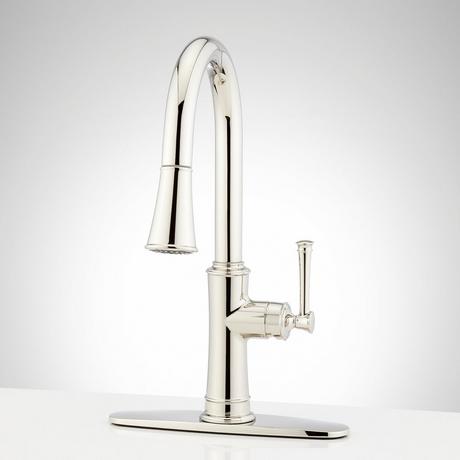 Beasley Single-Hole Pull-Down Kitchen Faucet with Deck Plate
