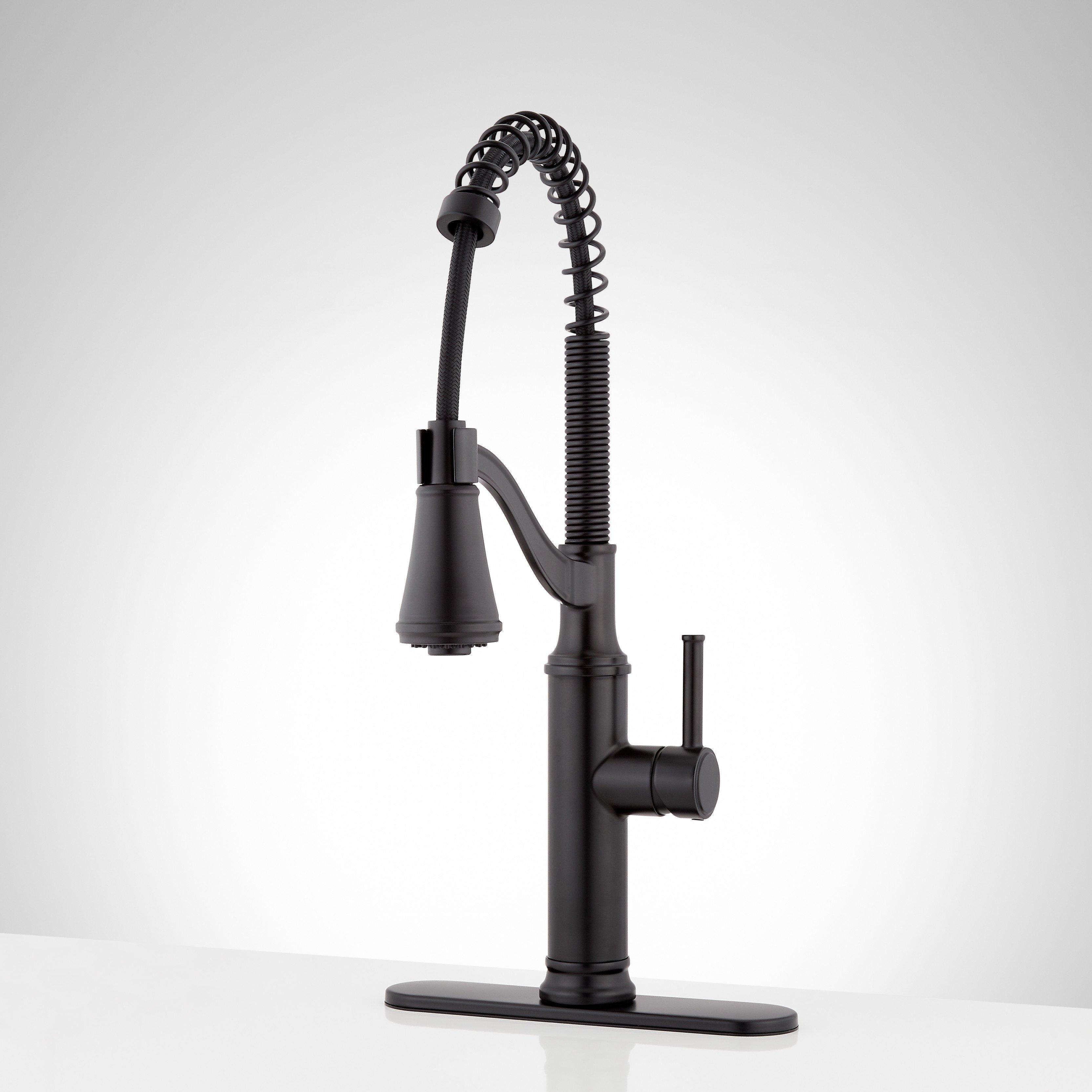 Caribana Single Handle Kitchen Faucet | Signature Hardware