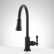 Amberley Single-Hole Pull-Down Spray Kitchen Faucet - Matte Black, , large image number 0