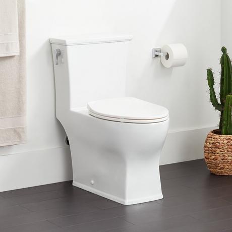 Carraway One-Piece Elongated Toilet - White