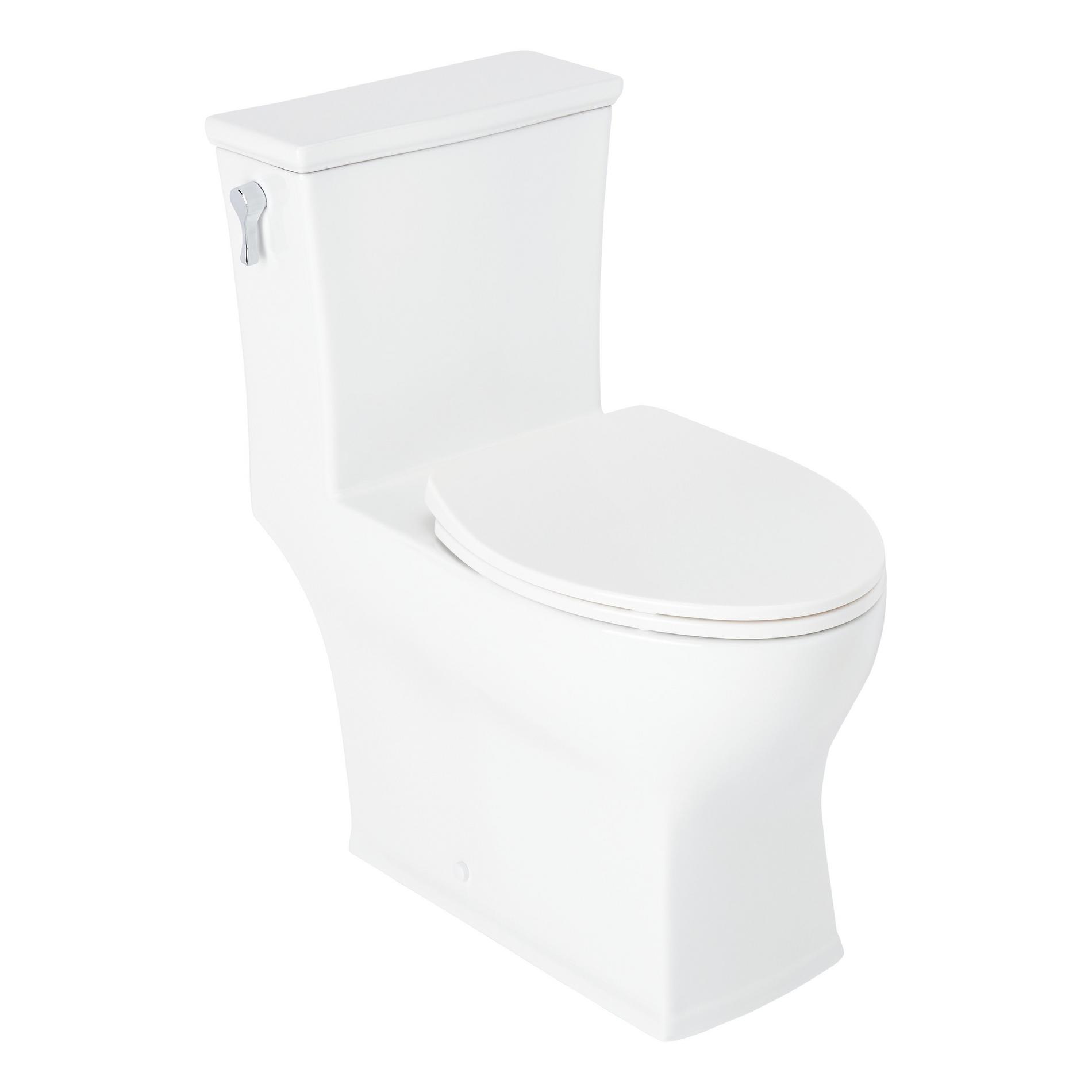 Carraway OnePiece Elongated Toilet White Signature Hardware