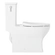 Carraway One-Piece Elongated Toilet - White | Signature Hardware