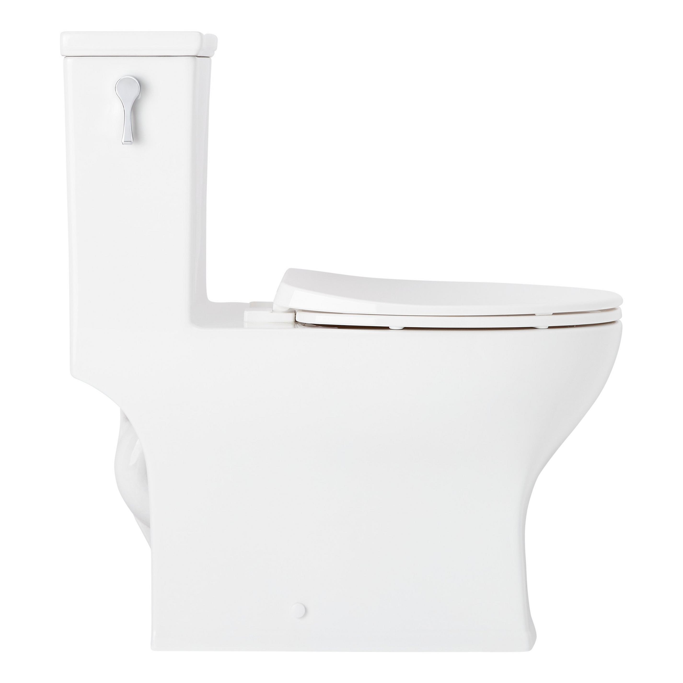 signature hardware carraway toilet