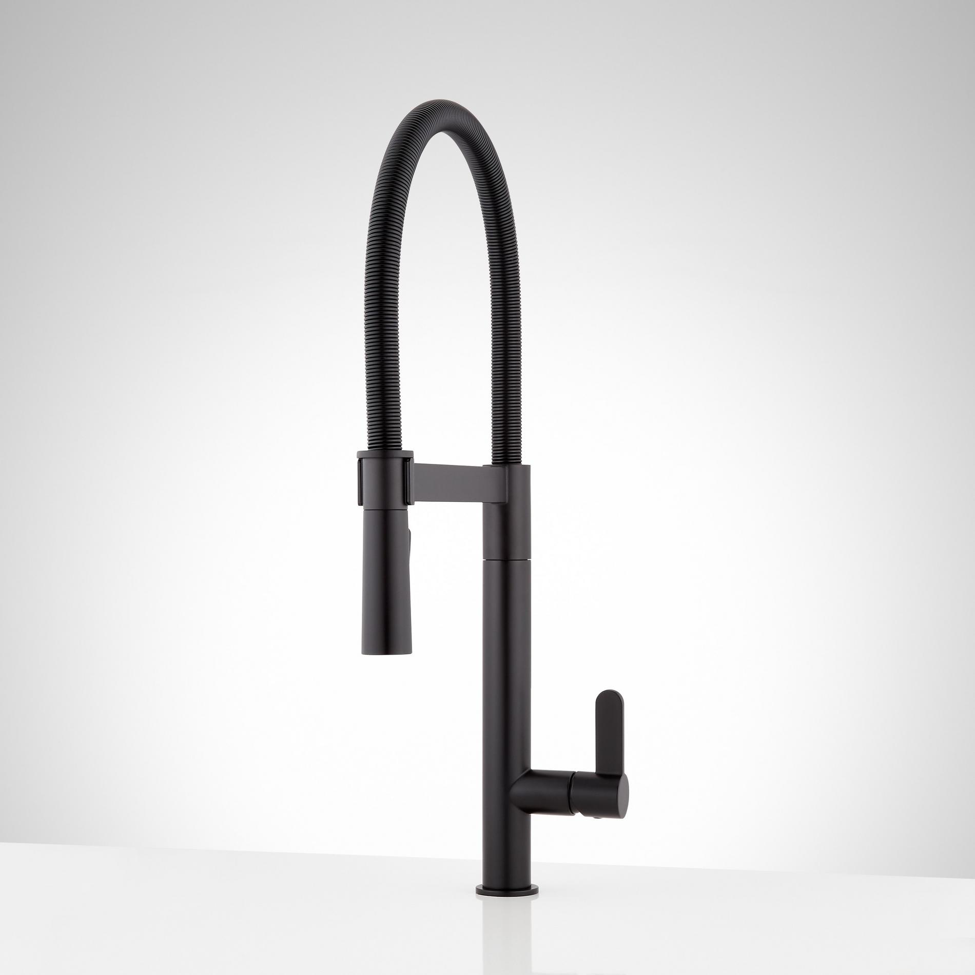 Ocala SingleHole Kitchen Faucet with PullDown Spring Spout Matte