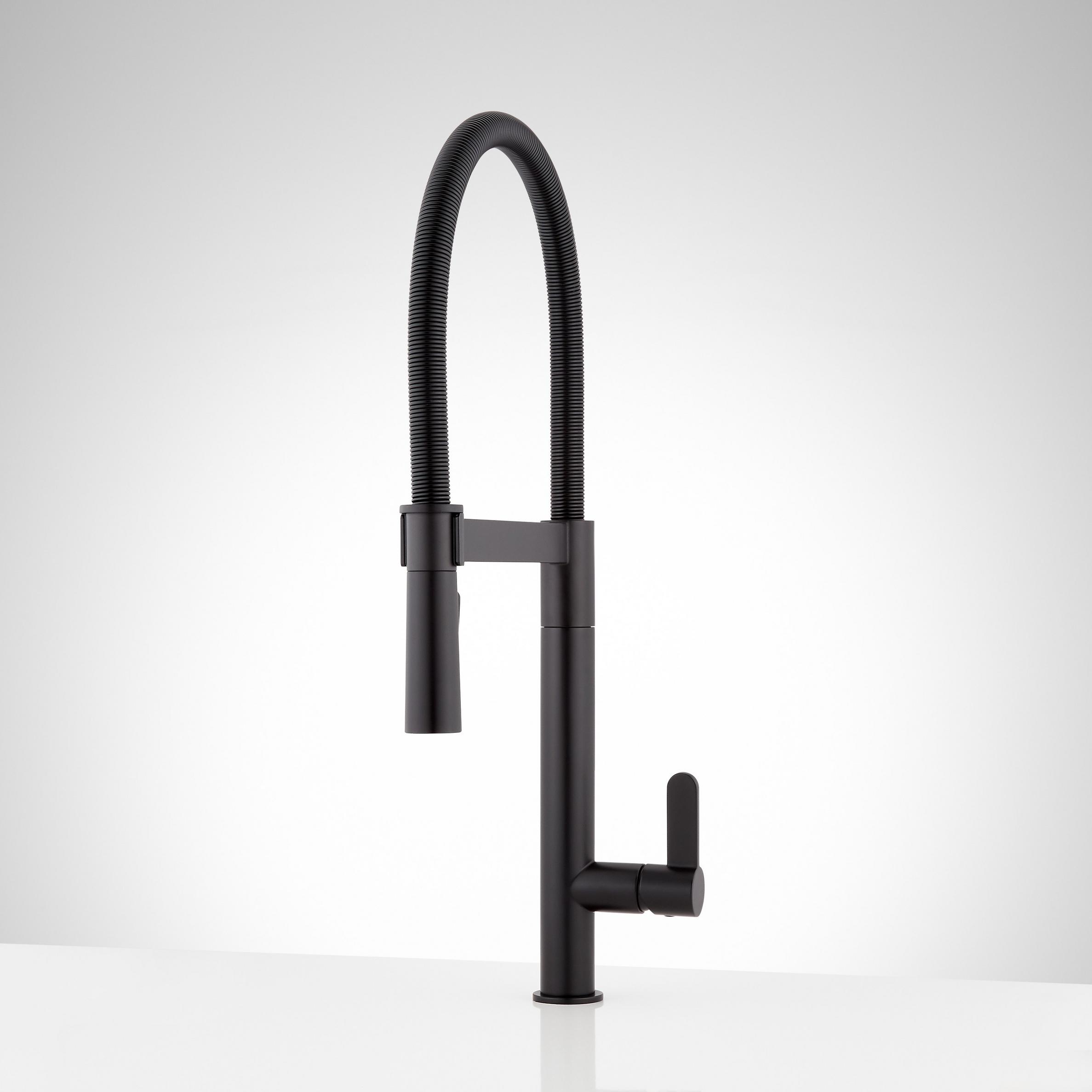 Ocala SingleHole Kitchen Faucet with PullDown Spring Spout Matte