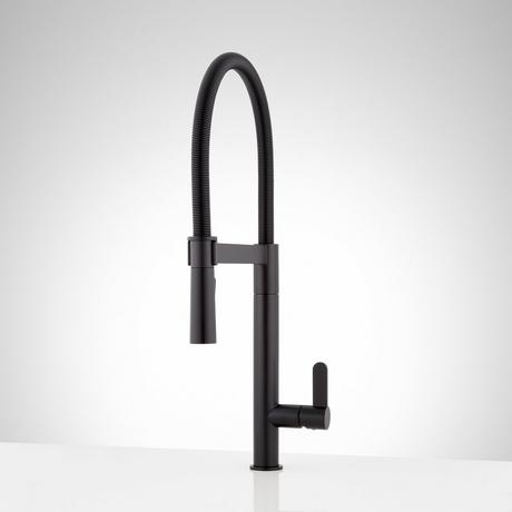 Ocala Single-Hole Kitchen Faucet with Pull-Down Spring Spout