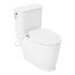 Pendleton Two-Piece Elongated Skirted Toilet with Brookdale Bidet Seat - White, , large image number 1