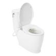 Pendleton Two-Piece Elongated Skirted Toilet with Brookdale Bidet Seat - White, , large image number 2